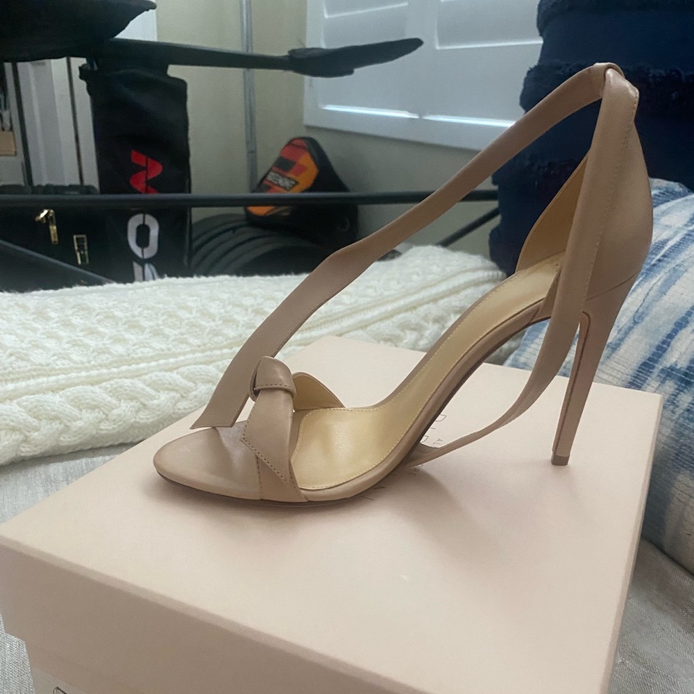 Alexandre Birman Clarita Nude 100 mm - US 7.5